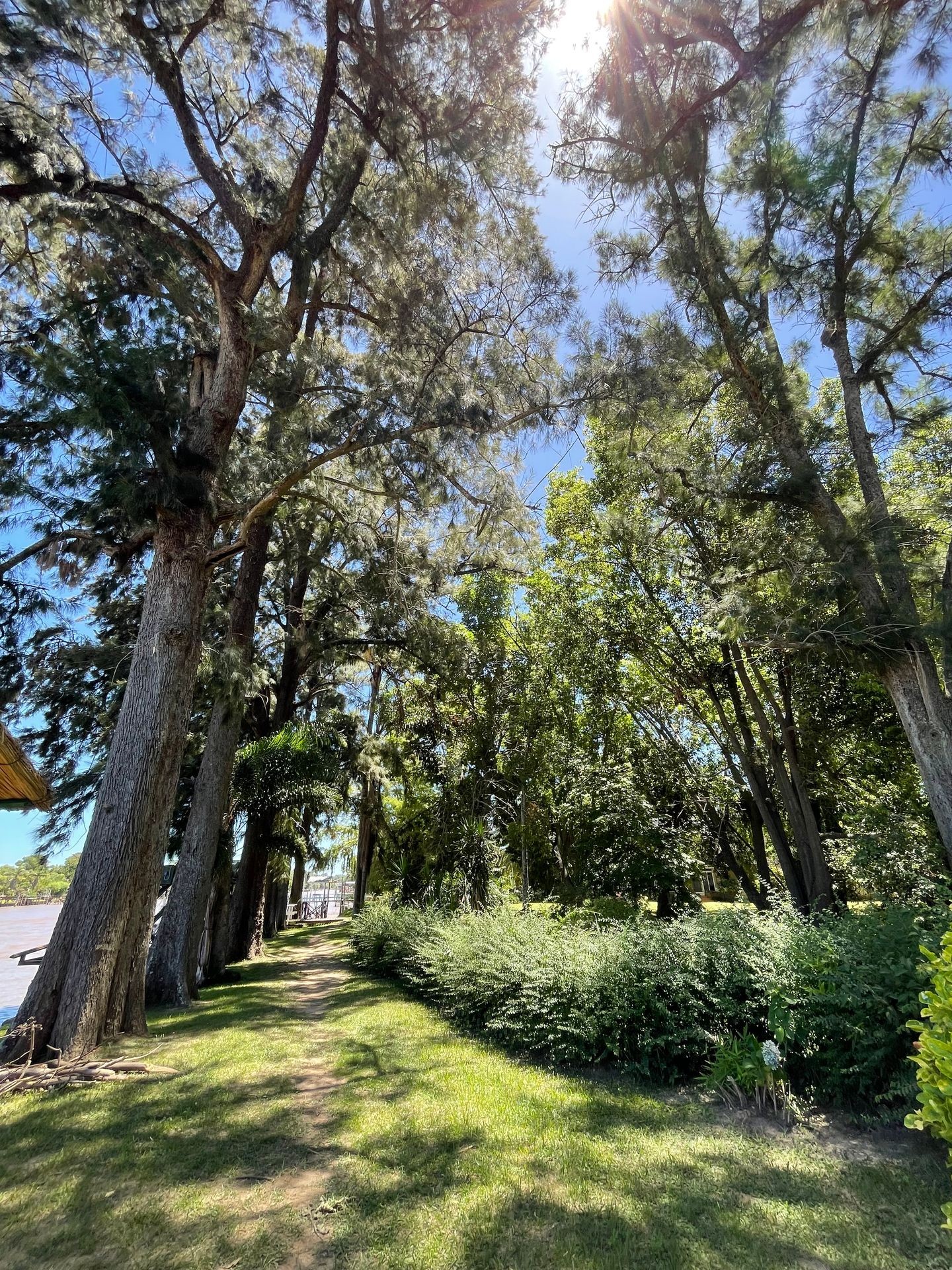 Actividades en la naturaleza